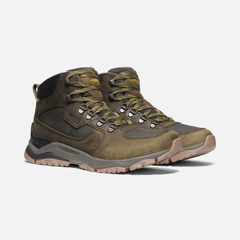 Bottes de Randonnée Keen Homme Vert Olive | Innate Cuir Waterproof | TFVGP-5908